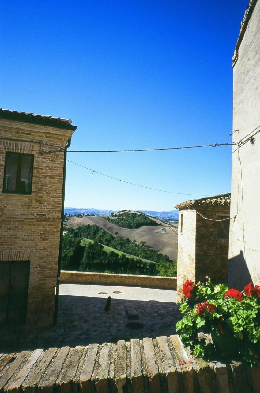 Agriturismo Pozzuolo Serrungarina Εξωτερικό φωτογραφία