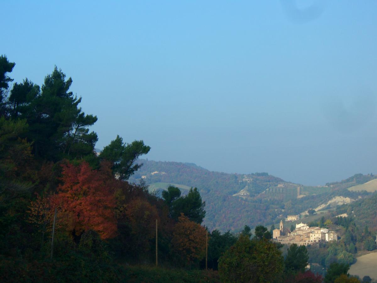 Agriturismo Pozzuolo Serrungarina Εξωτερικό φωτογραφία