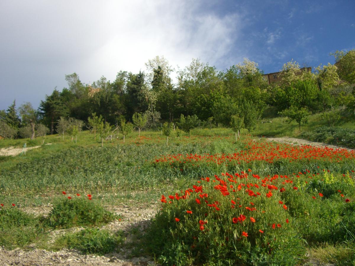 Agriturismo Pozzuolo Serrungarina Εξωτερικό φωτογραφία